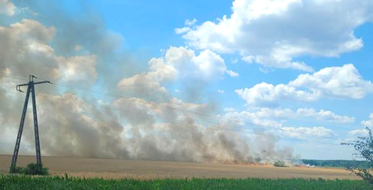 Spaliło się 6 hektarów jęczmienia. Pożar zboża w Chylinie  - fot.: JRG Turek