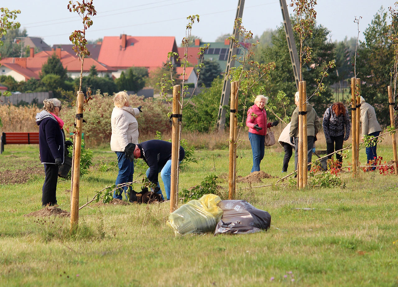 55 nowych sadzonek drzew miododajnych w Turku. Pod okiem wiceburmistrza posadzili je seniorzy - fot.: UM Turek