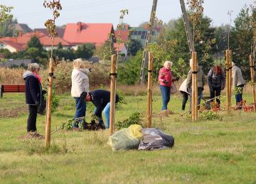 55 nowych sadzonek drzew miododajnych w Turku....