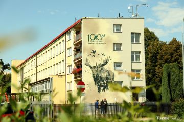 Nowy mural w Turku. Ekologiczne malowidło...