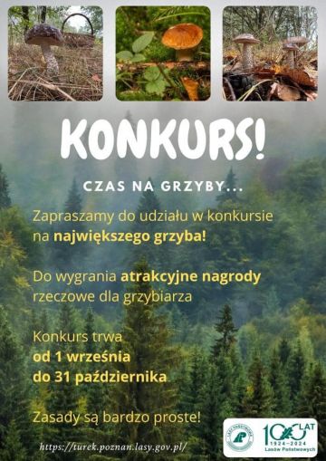 Znajdź największego i pokaż jaki jesteś Kozak! Nadleśnictwo Turek ogłasza kolejny Konkurs Grzybiarski - Plakat konkursu