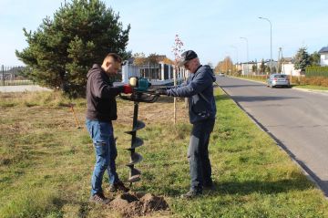 Turek stawia na zieleń. Nowe drzewa miododajne...