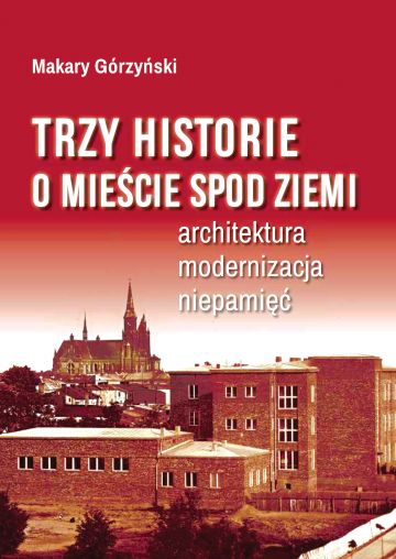 Historia Turku oczami wybitnego historyka. Książka Makarego Górzyńskiego do pobrania za darmo!