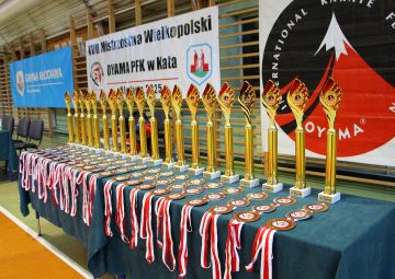 Karatecy w akcji. XVII Mistrzostwa Wielkopolski...