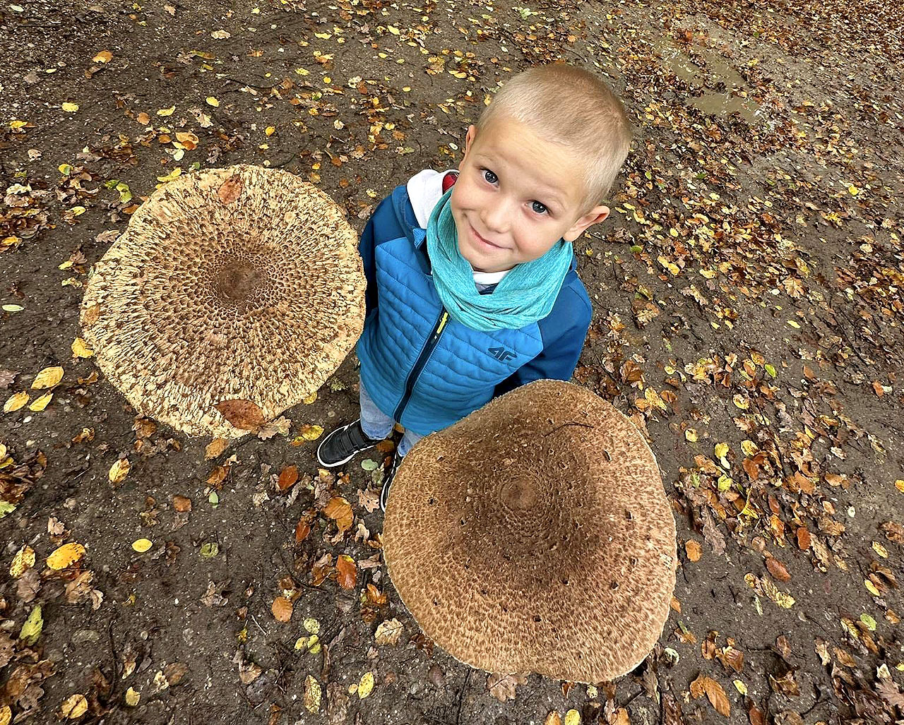 Znajdź największego i pokaż jaki jesteś 