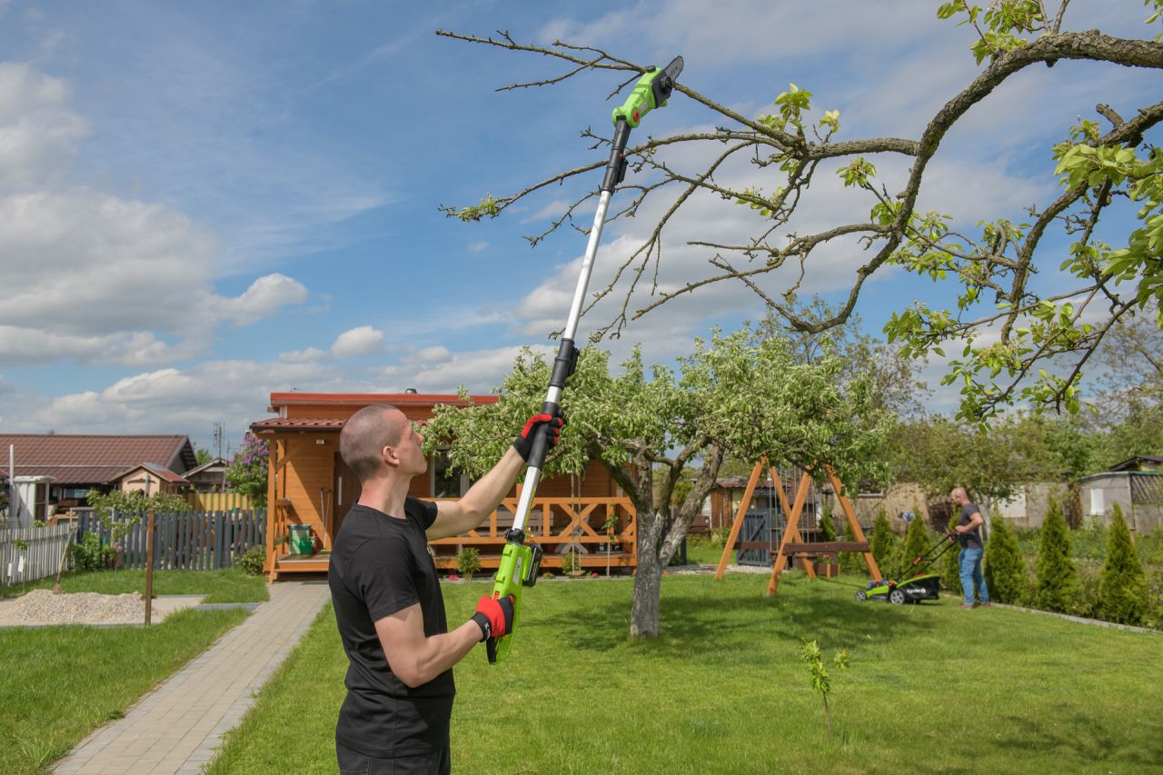 Letnie przycinanie drzew i krzewów - kiedy i jak to robić?