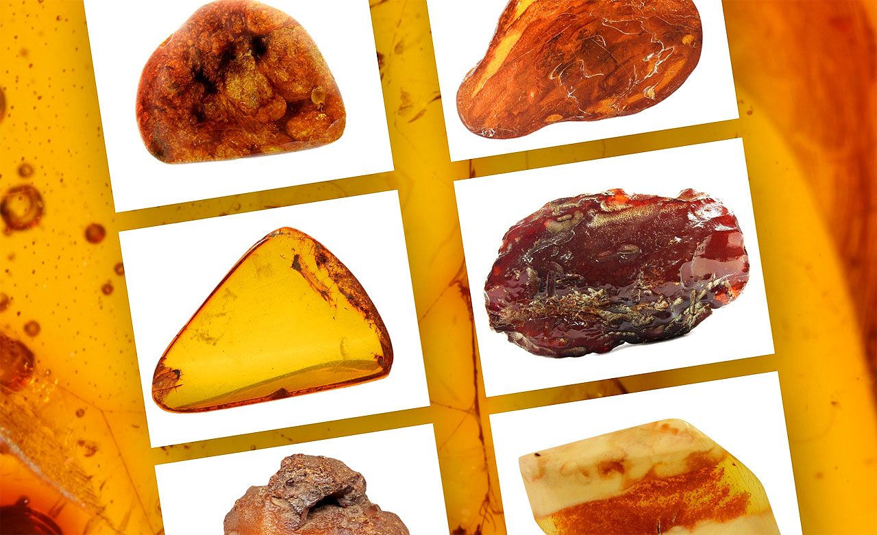 Poznaj tajemnice bursztynu. Nowa ekspozycja w Muzeum Miasta Turku