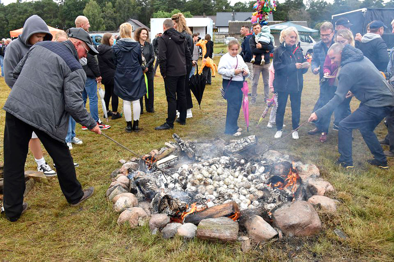 Pieczone ziemniaki królowały w Tarnowskim Młynie. Smaki jesieni i dobra zabawa mimo niepogody - Święto Pieczonego Ziemniaka w Tarnowskim Młynie 2025 /fot. UG Władysławów