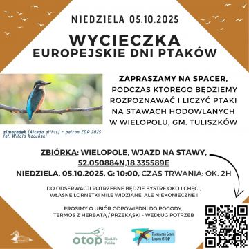 Europejskie Dni Ptaków w Wielopolu. Turkowska Grupa Lokalna OTOP zaprasza na wycieczkę