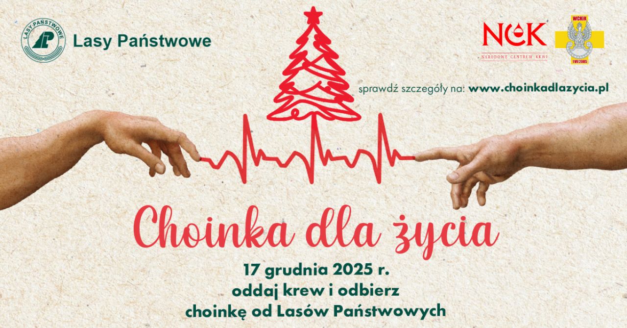 Choinka dla życia. Nadleśnictwo Turek dziękuje Honorowym Dawcom Krwi