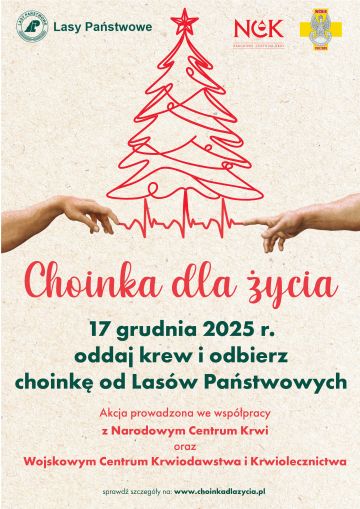 Choinka dla życia. Nadleśnictwo Turek dziękuje Honorowym Dawcom Krwi