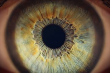 Zwyrodnienie plamki żółtej – jak...