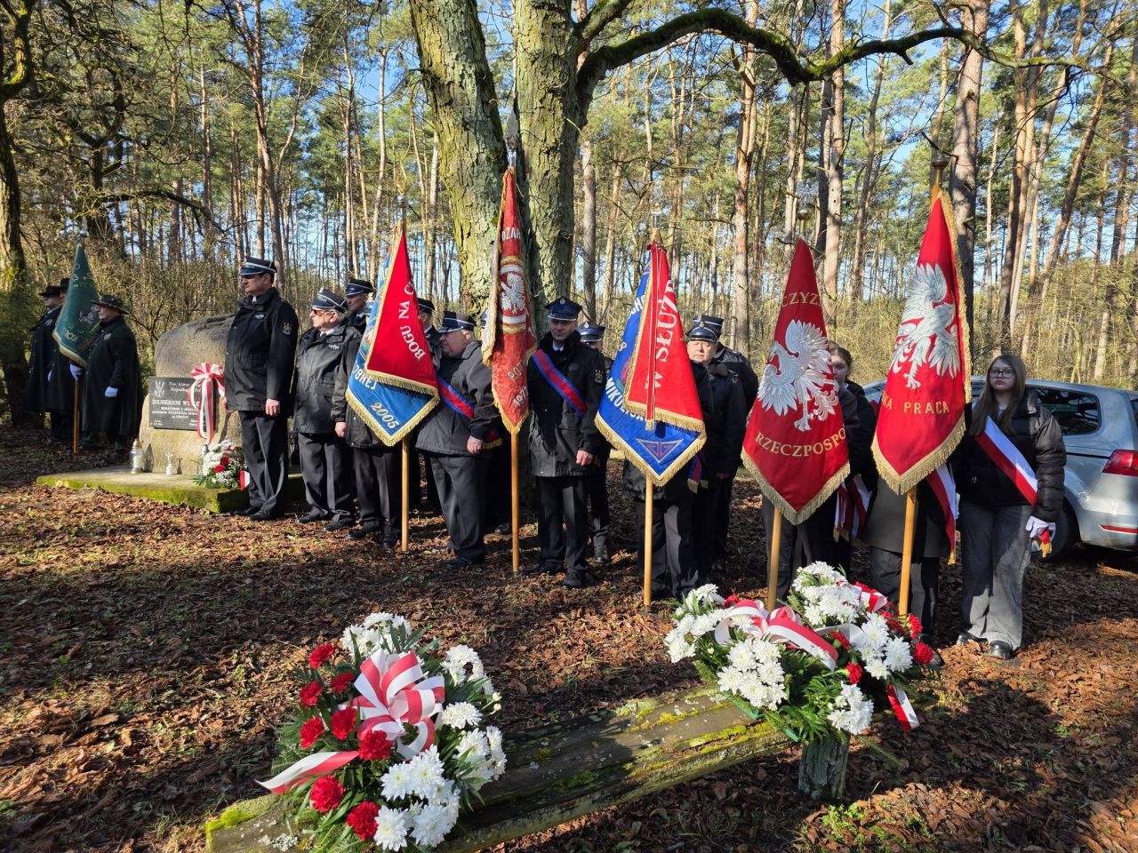 Las dał im ostatnie schronienie. Żołnierze Wyklęci w Czystem - fot.: UM Dobra